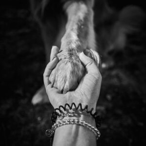 A black-and-white image of a human hand holding a dog's paw, symbolizing companionship.